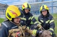 O-04ab03d6-fa20-4d57-a718-1151eb24e42d-760