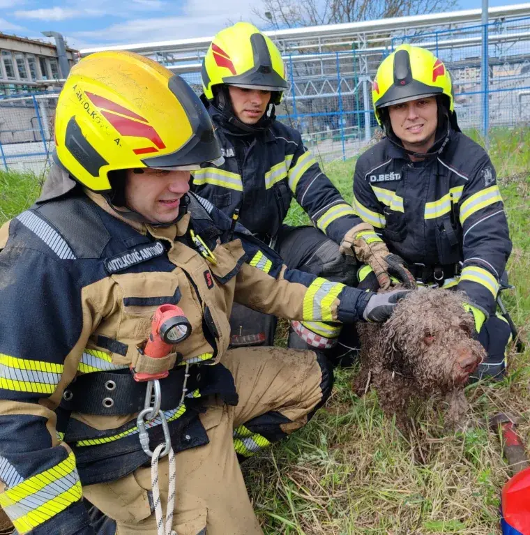 O-04ab03d6-fa20-4d57-a718-1151eb24e42d-760