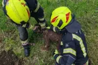 O-0d501c5c-b48d-4d7f-84fb-63034cd99fb1-760