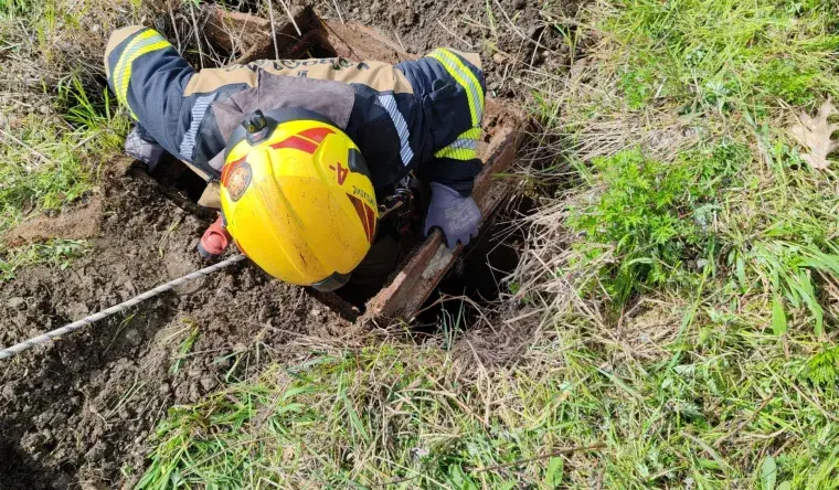 O-cf6b6462-8b14-4263-a600-9177173821d2-760