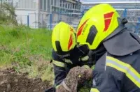 O-e8b00ff5-2c49-43fa-8031-78b66e4451e7-760