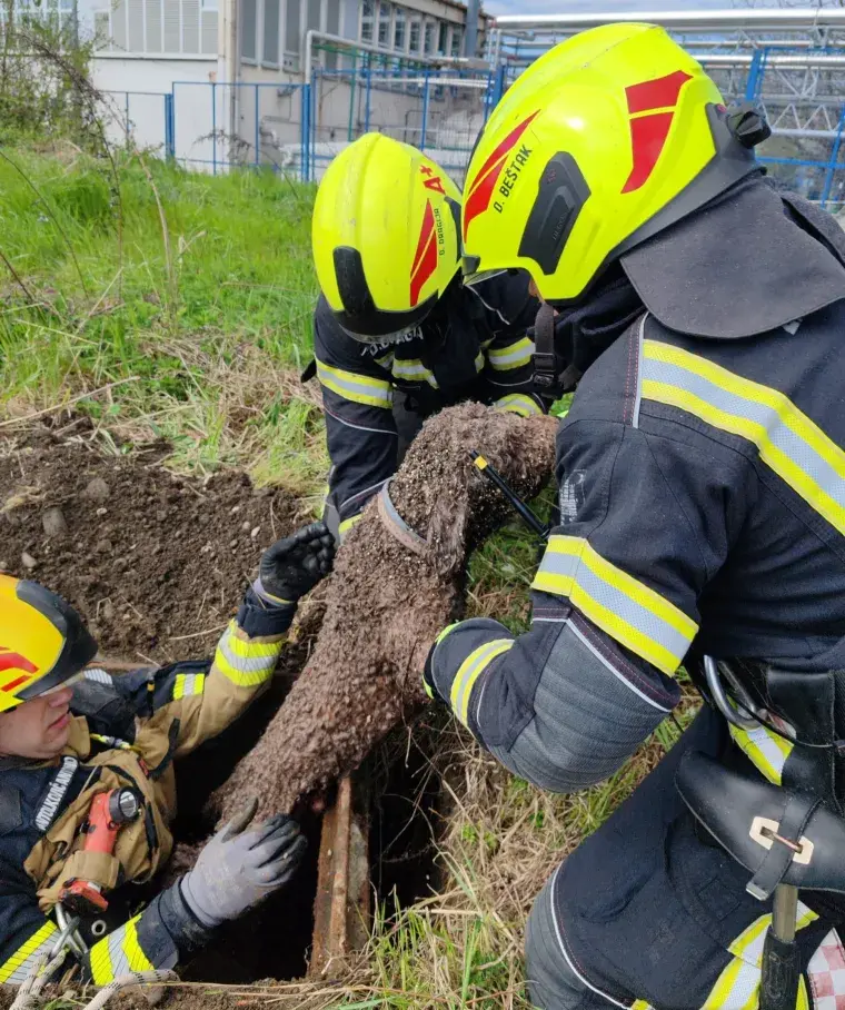 O-e8b00ff5-2c49-43fa-8031-78b66e4451e7-760