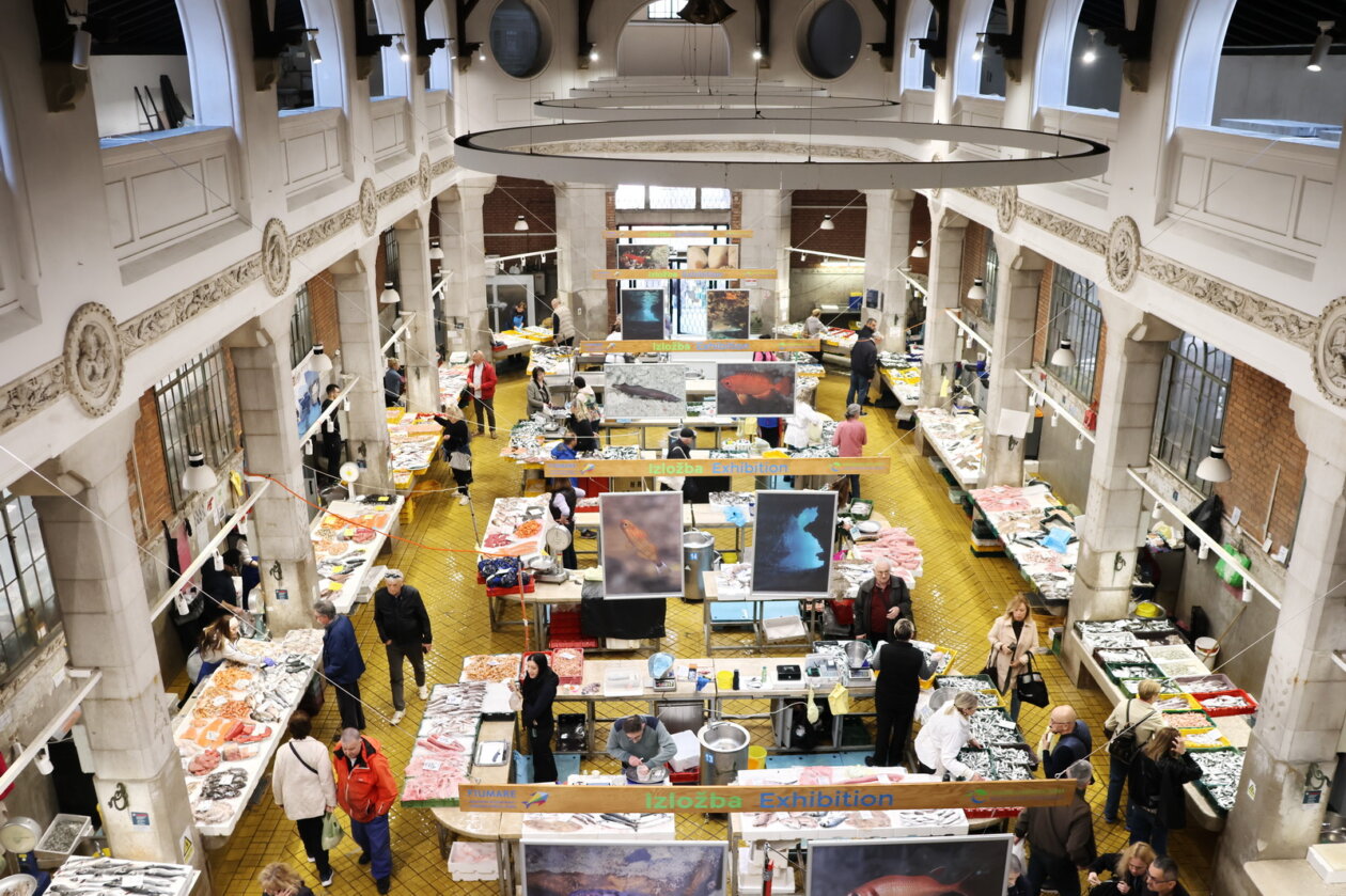 Obilazak-trznice-i-radova-u-1.-paviljonu-46 Obilazak-trznice-i-radova-u-1.-paviljonu-46