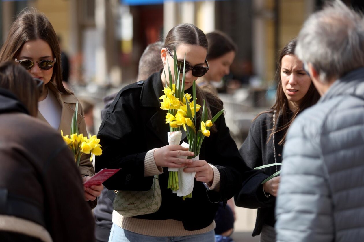 Obilježavanje jubilarnog 30. Dana narcisa u Rijeci