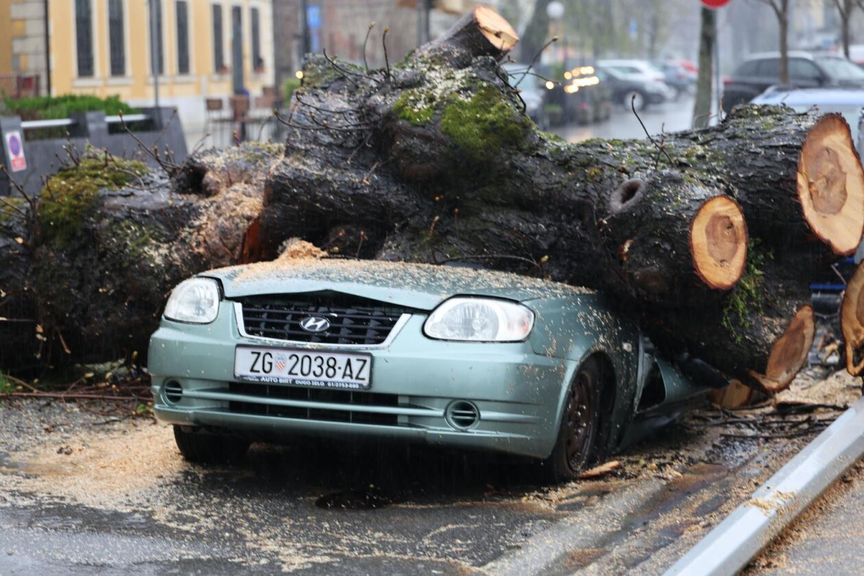 Zagreb: Nevrijeme srušilo stablo koje je palo na automobil Zagreb: Nevrijeme srušilo stablo koje je palo na automobil
