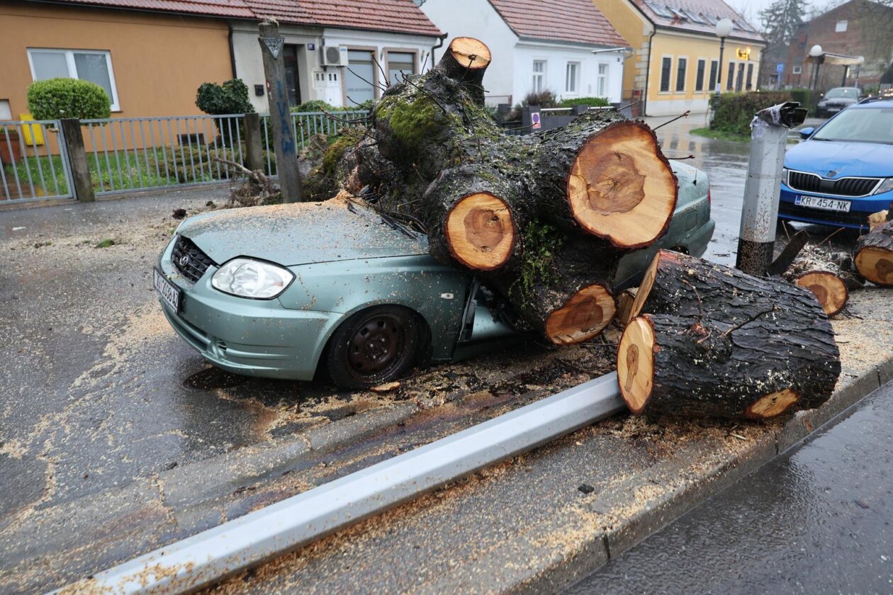 Zagreb: Nevrijeme srušilo stablo koje je palo na automobil Zagreb: Nevrijeme srušilo stablo koje je palo na automobil