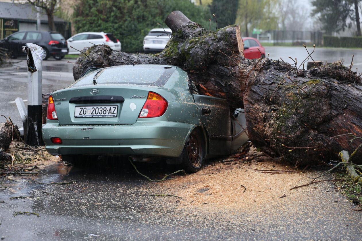 Zagreb: Nevrijeme srušilo stablo koje je palo na automobil Zagreb: Nevrijeme srušilo stablo koje je palo na automobil