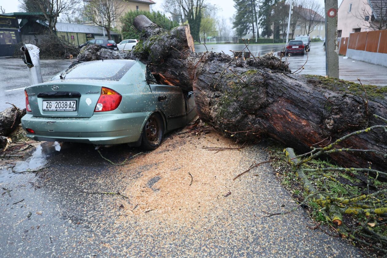 Zagreb: Nevrijeme srušilo stablo koje je palo na automobil Zagreb: Nevrijeme srušilo stablo koje je palo na automobil