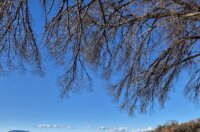 Plaža u uvali Kijac