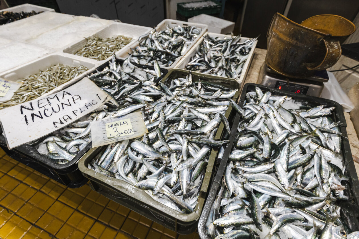 Ribarnica 11.3.-2386