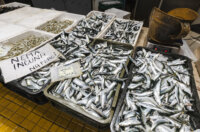 Ribarnica 11.3.-2386