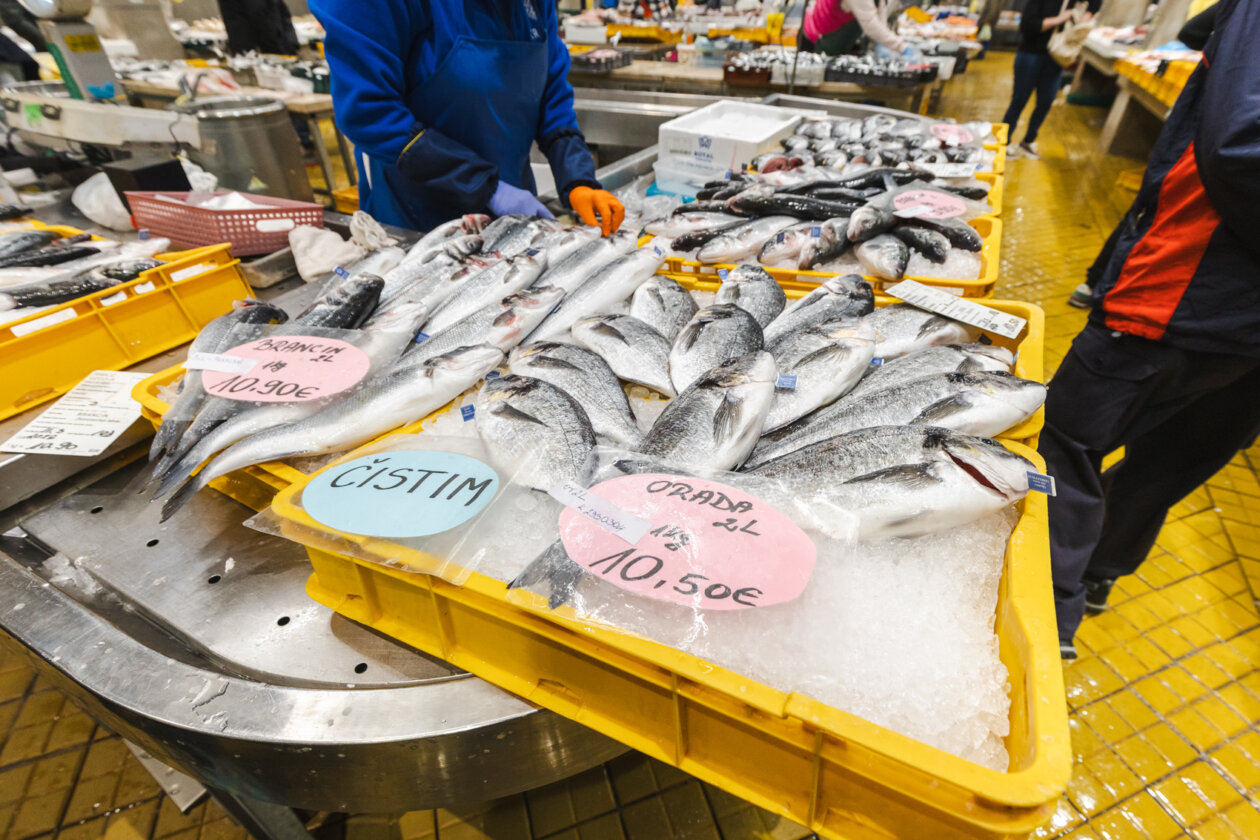 Ribarnica 11.3.-2388