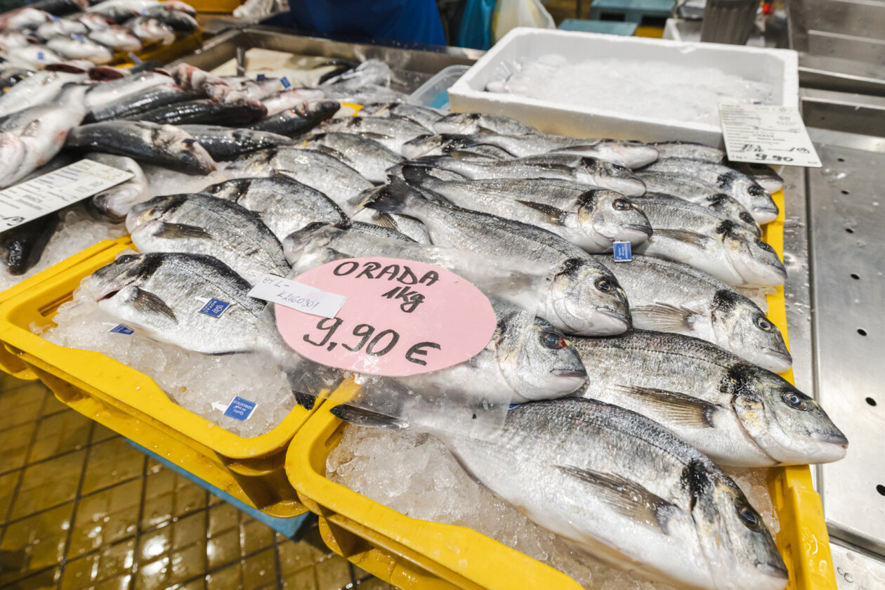 Ribarnica 11.3.-2390