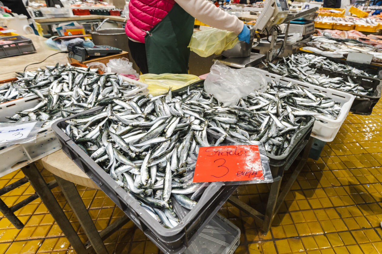 Ribarnica 11.3.-2391