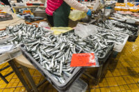 Ribarnica 11.3.-2391