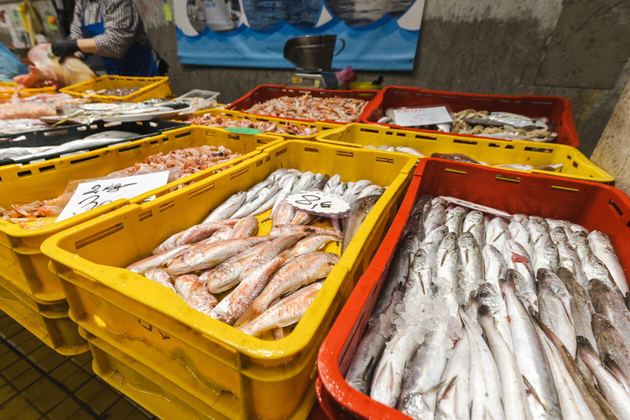 Ribarnica 11.3.-2394