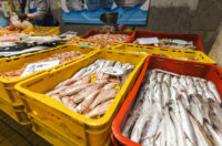 Ribarnica 11.3.-2394