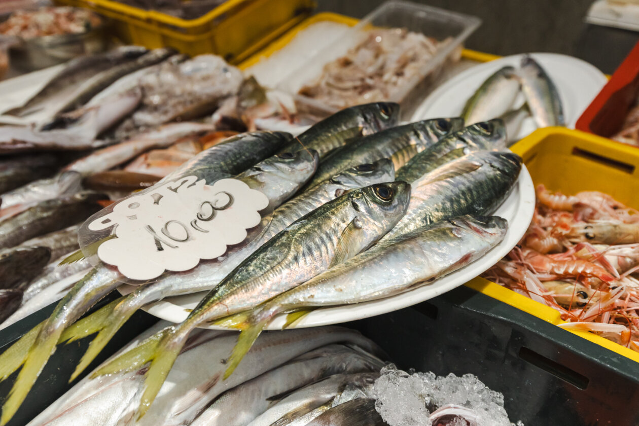 Ribarnica 11.3.-2396