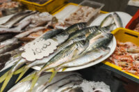 Ribarnica 11.3.-2396