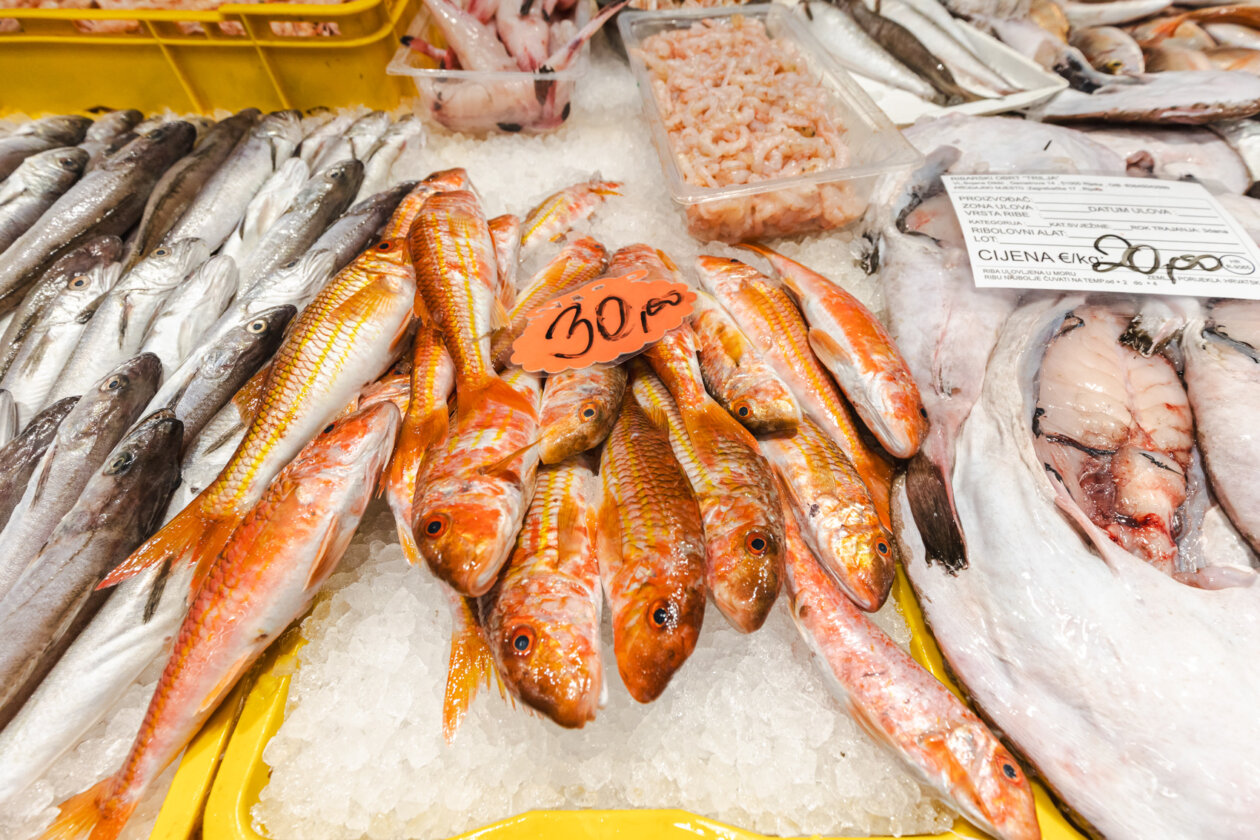 Ribarnica 11.3.-2397