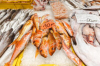 Ribarnica 11.3.-2397