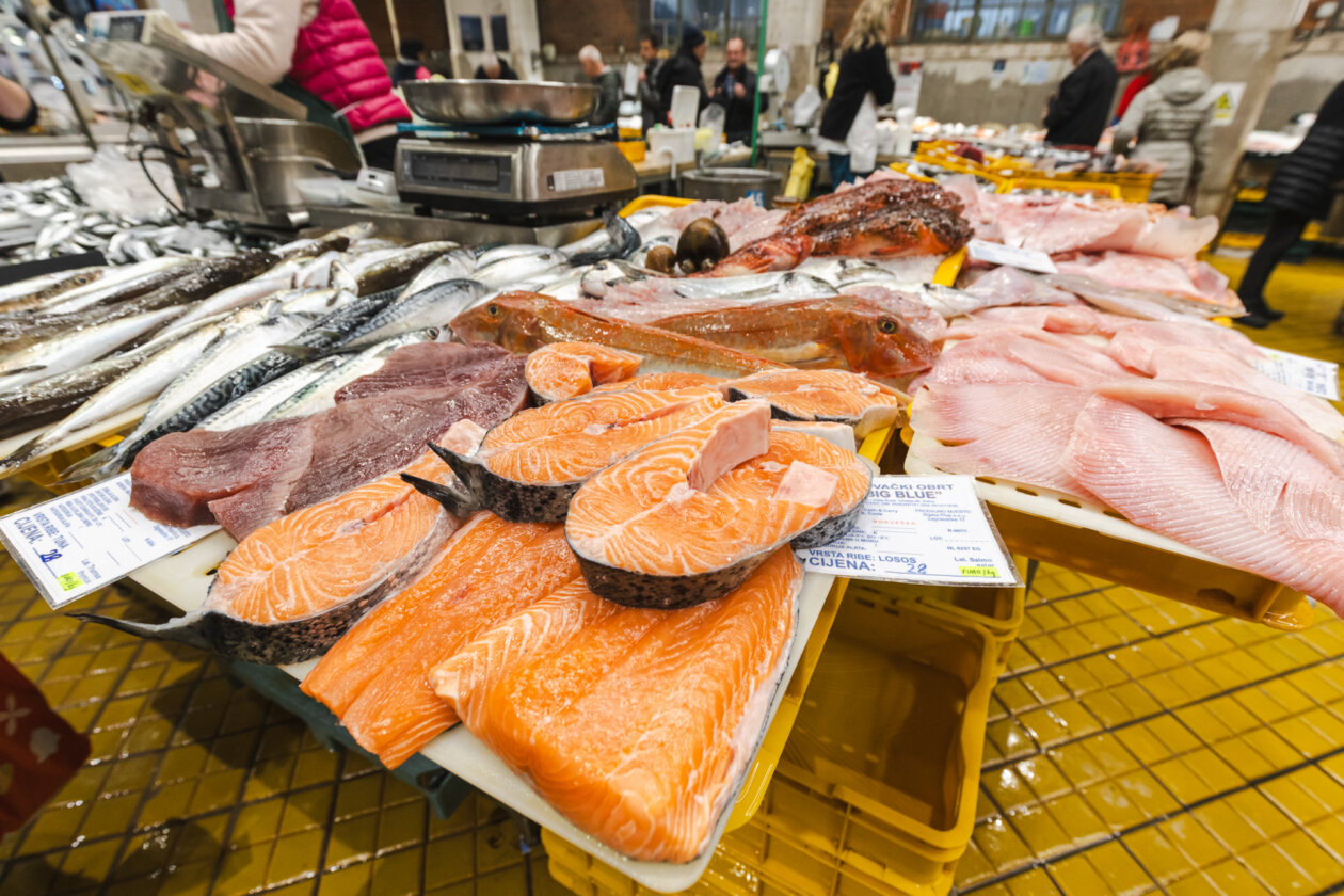 Ribarnica 11.3.-2399