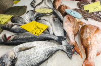 Ribarnica 11.3.-2404