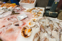 Ribarnica 11.3.-2405