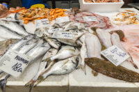 Ribarnica 11.3.-2408