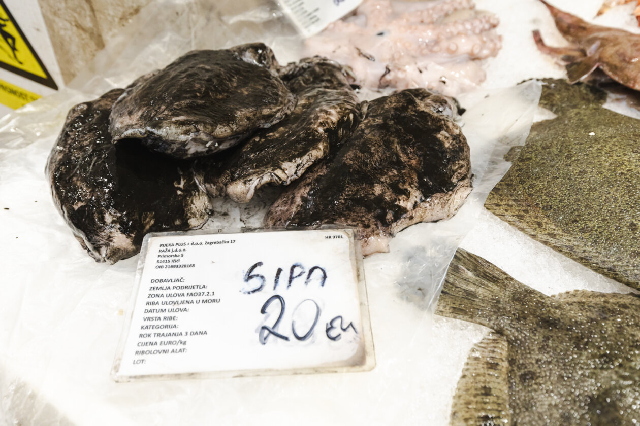 Ribarnica 11.3.-2409