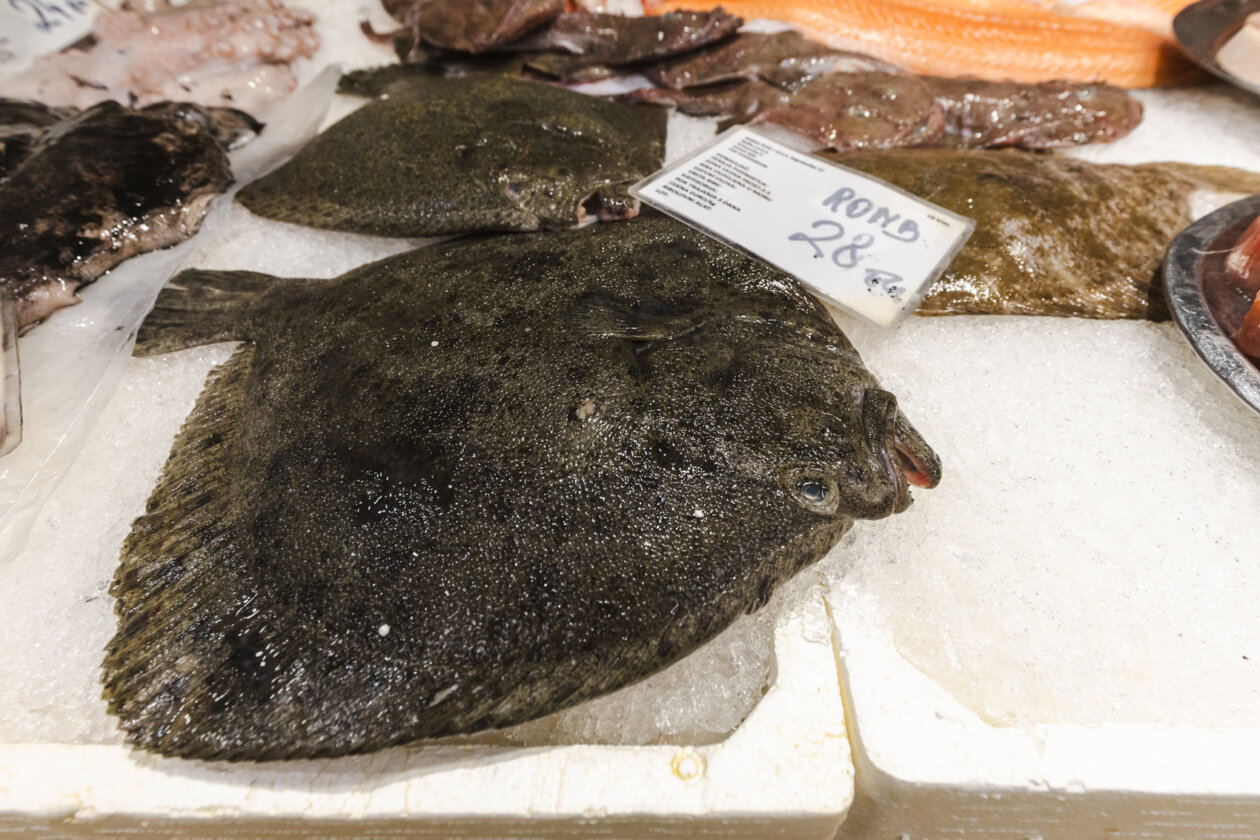 Ribarnica 11.3.-2410