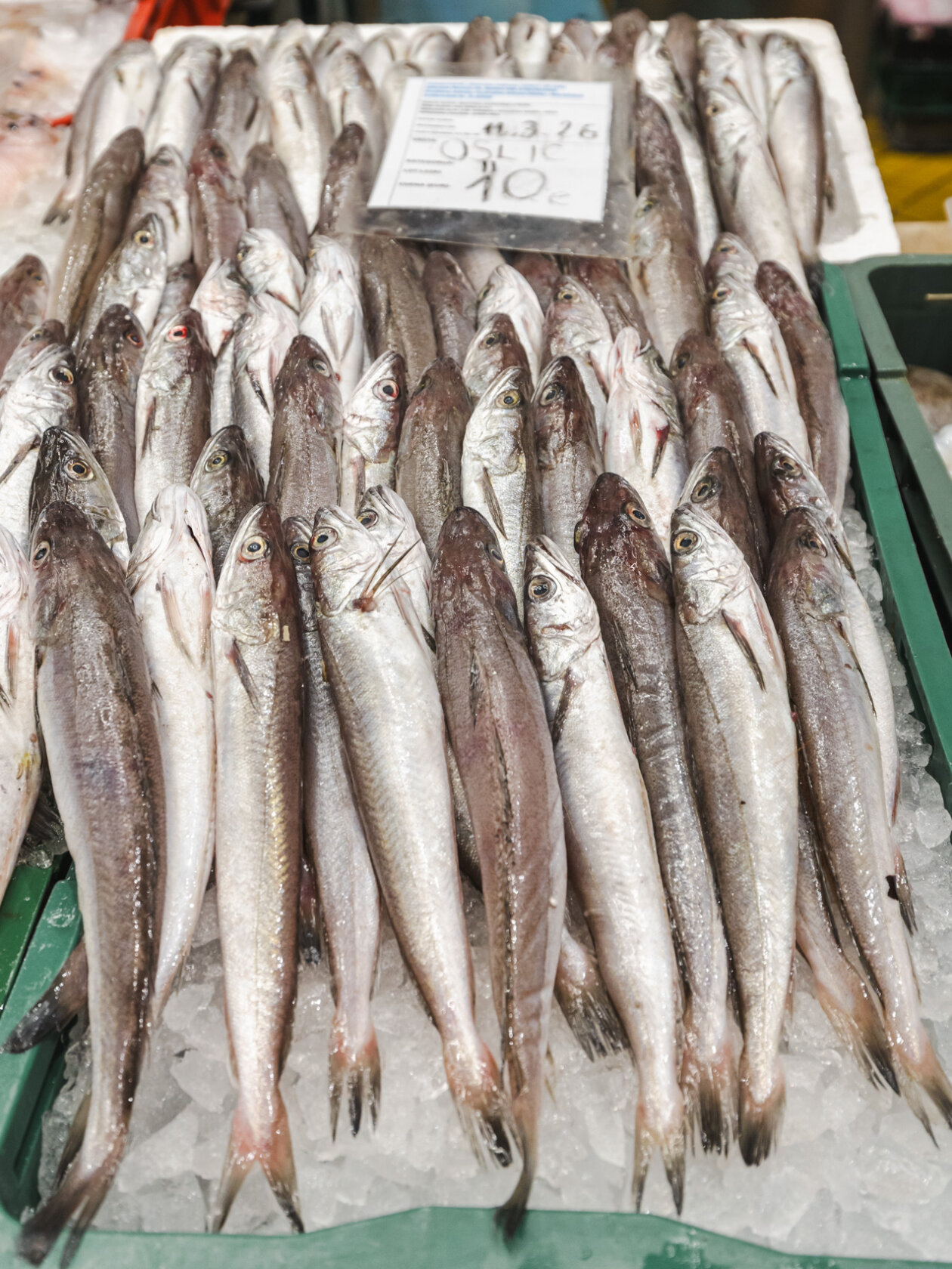 Ribarnica 11.3.-2411