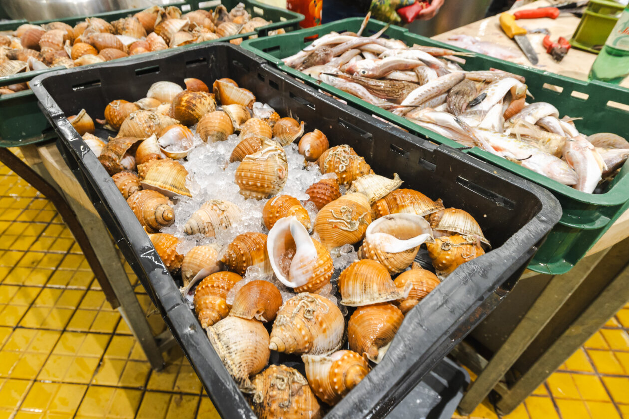 Ribarnica 11.3.-2412