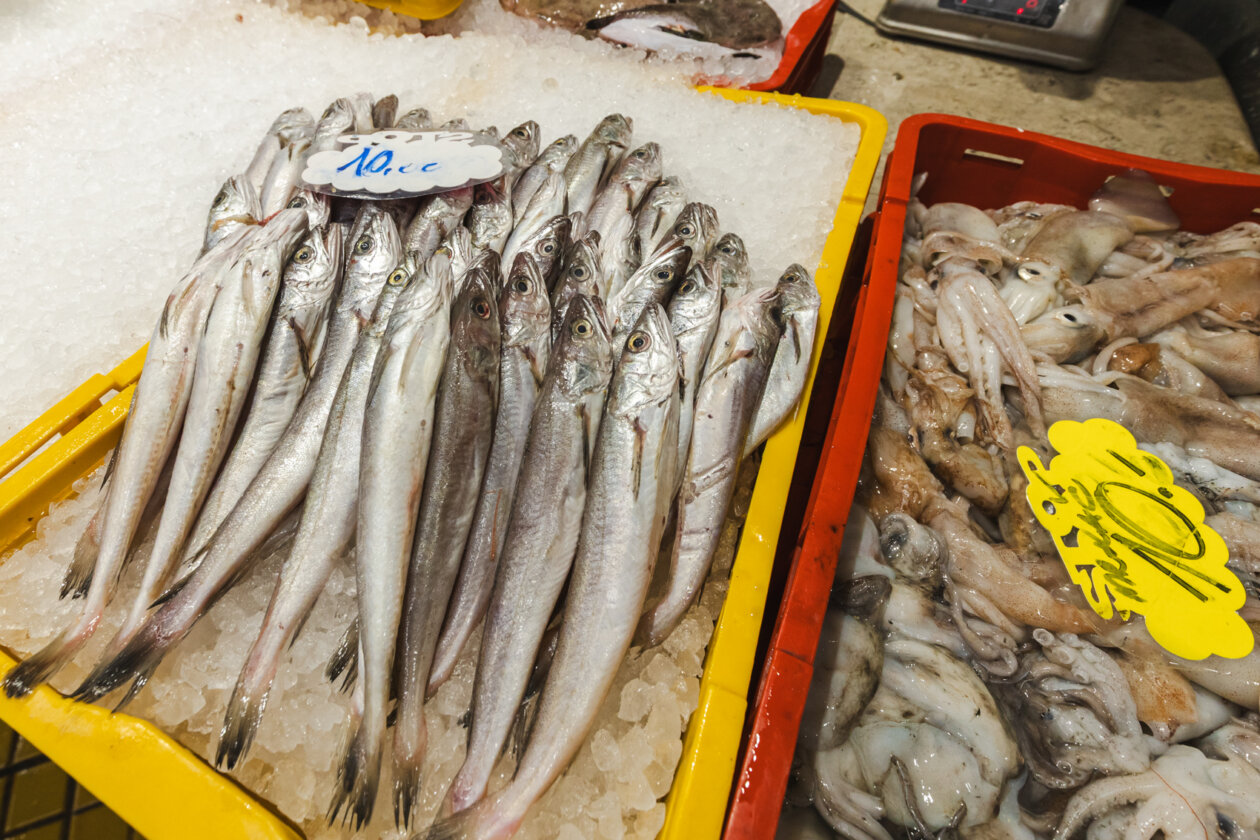 Ribarnica 11.3.-2413