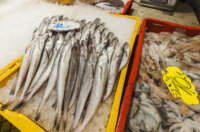 Ribarnica 11.3.-2413