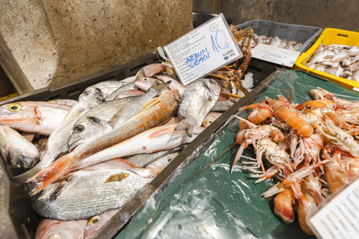 Ribarnica 11.3.-2419