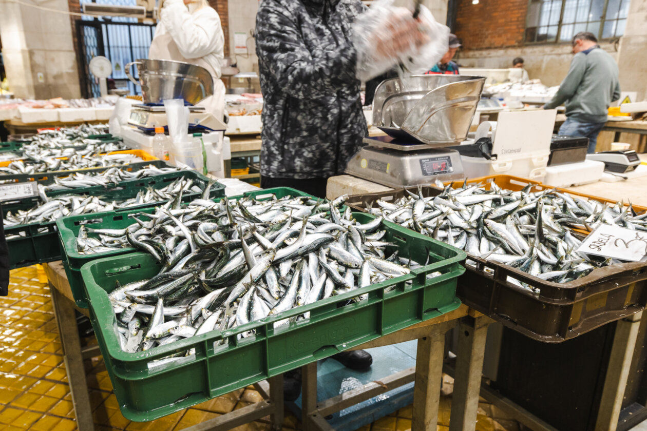 Ribarnica 11.3.-2420