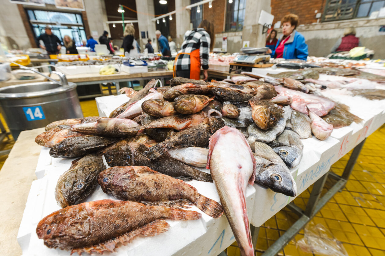 Ribarnica 11.3.-2423