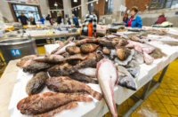 Ribarnica 11.3.-2423