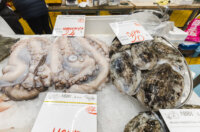 Ribarnica 11.3.-2425