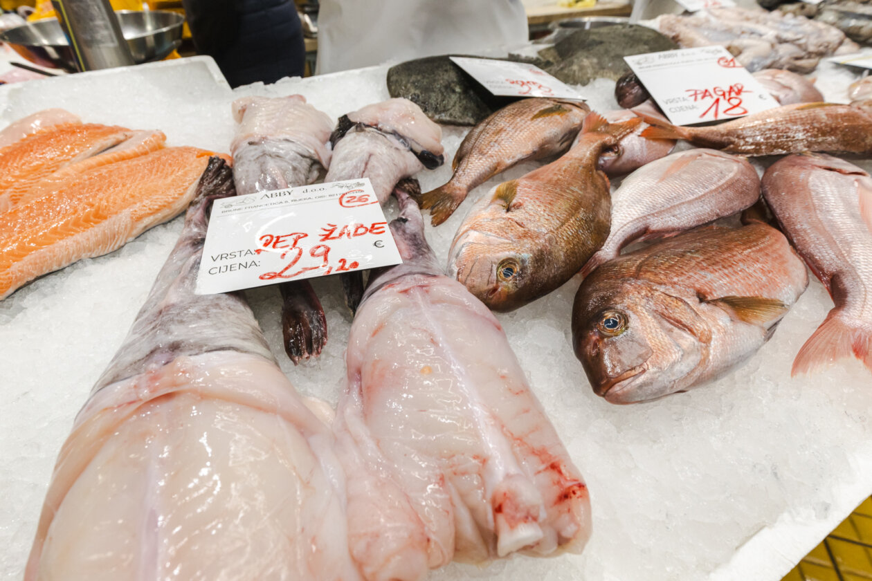 Ribarnica 11.3.-2426