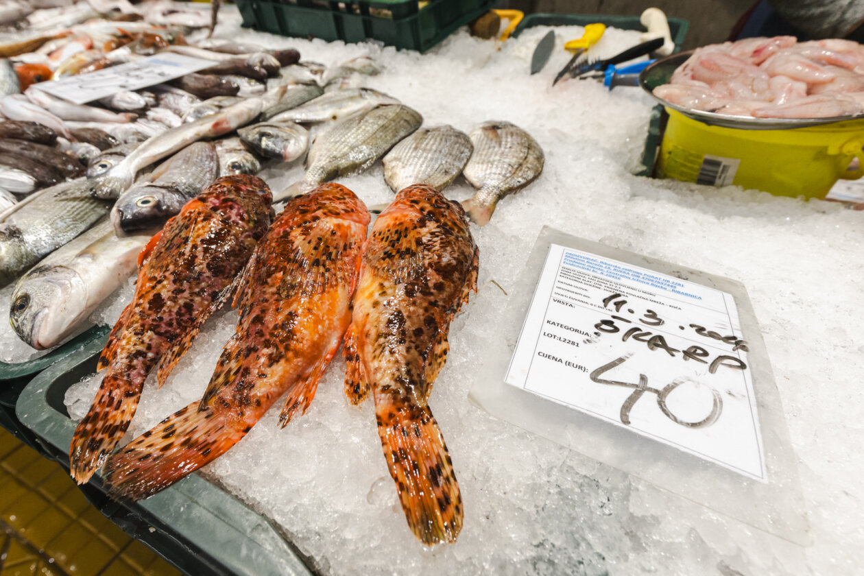 Ribarnica 11.3.-2429