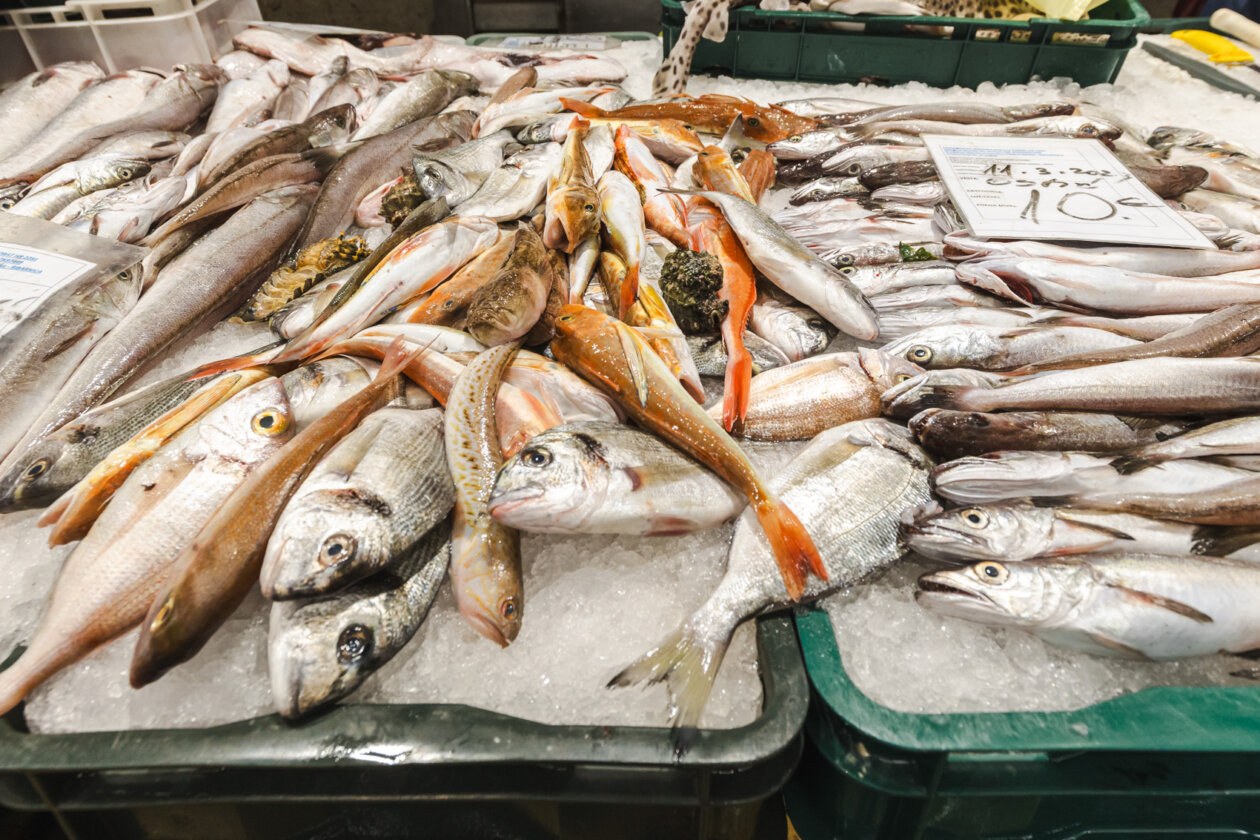 Ribarnica 11.3.-2430