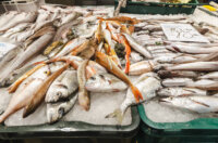 Ribarnica 11.3.-2430