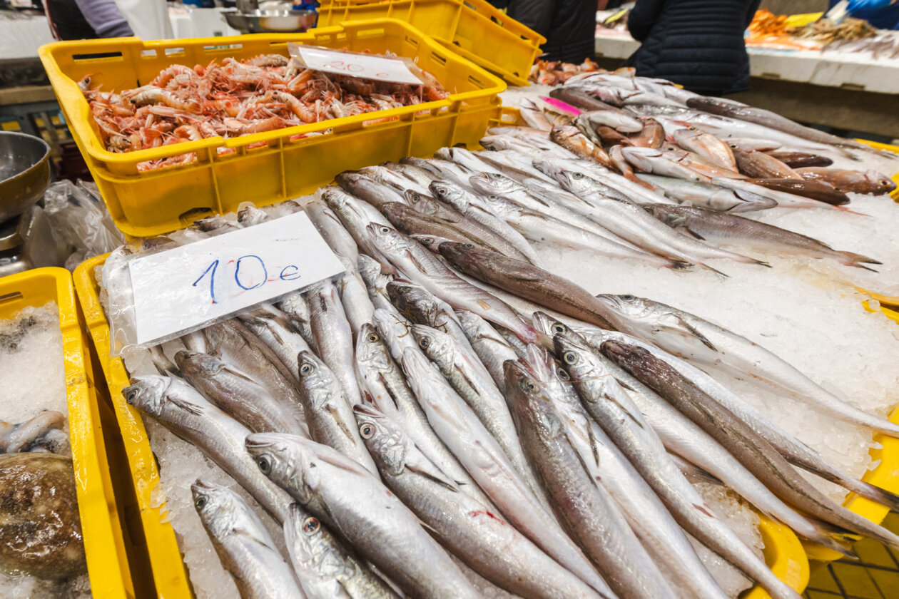 Ribarnica 11.3.-2434