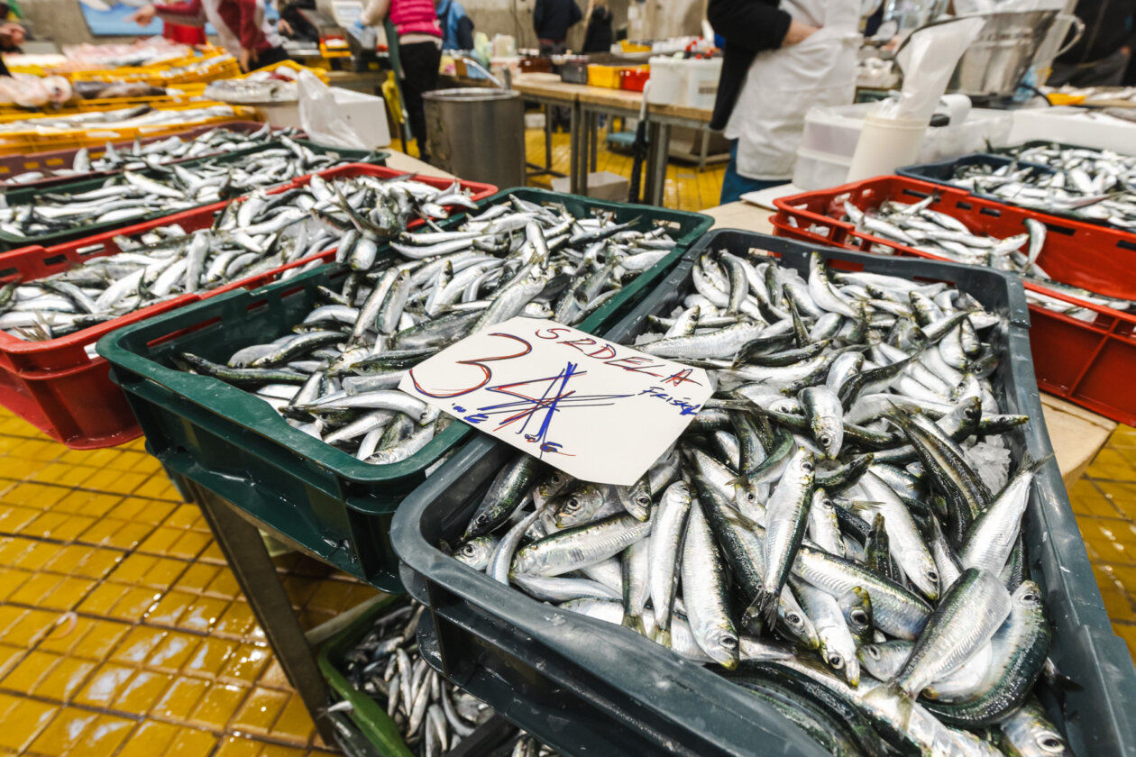 Ribarnica 11.3.-2440