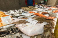 Ribarnica 11.3.-2441