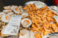 Ribarnica 11.3.-2443