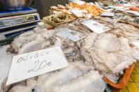 Ribarnica 11.3.-2445