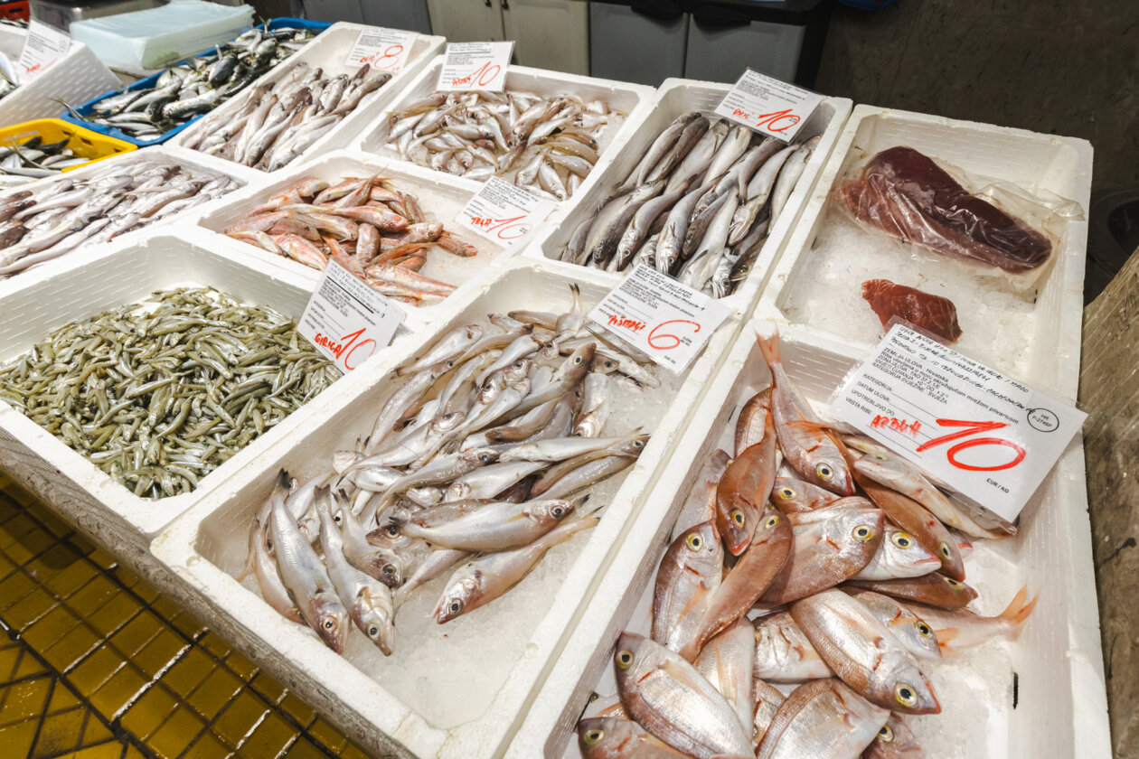 Ribarnica 11.3.-2448